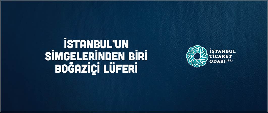 Boğaziçi Lüferi